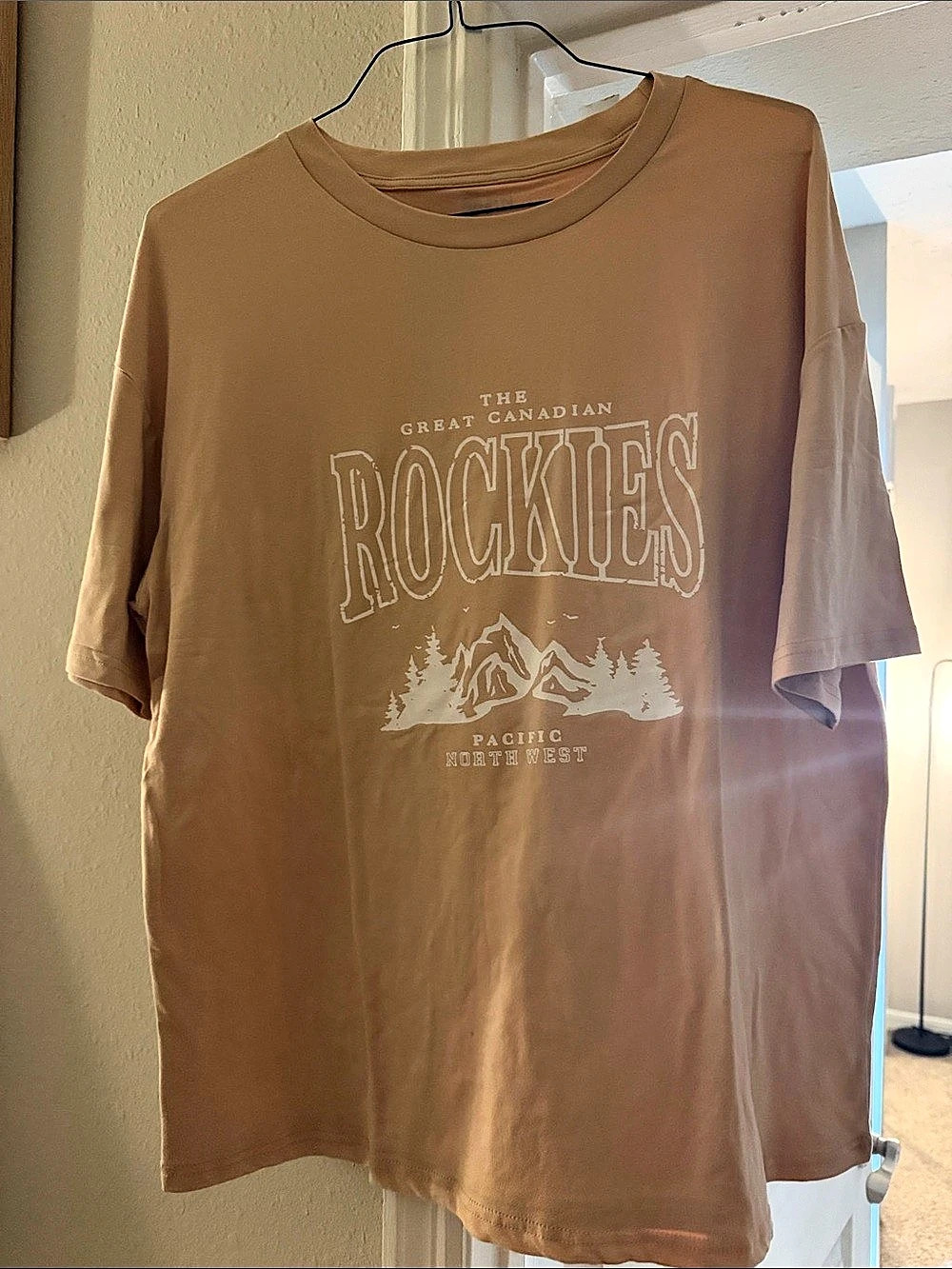 SHEIN The Great Canadian Rockies Oversized T-Shirt Graphic Tee Brown Medium